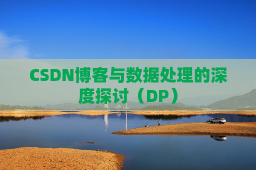 CSDN博客与数据处理的深度探讨（DP）